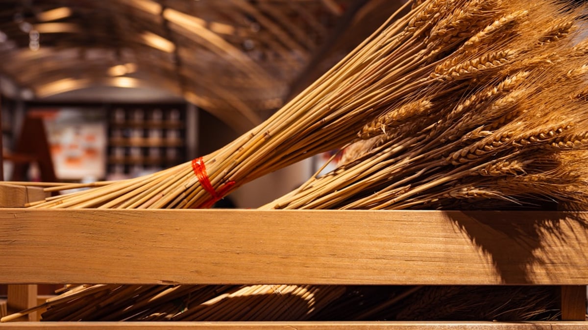 How to the Art of Dim Sum: a Culinary Journey Through Bite-Sized De…: dim sum in bamboo steamer