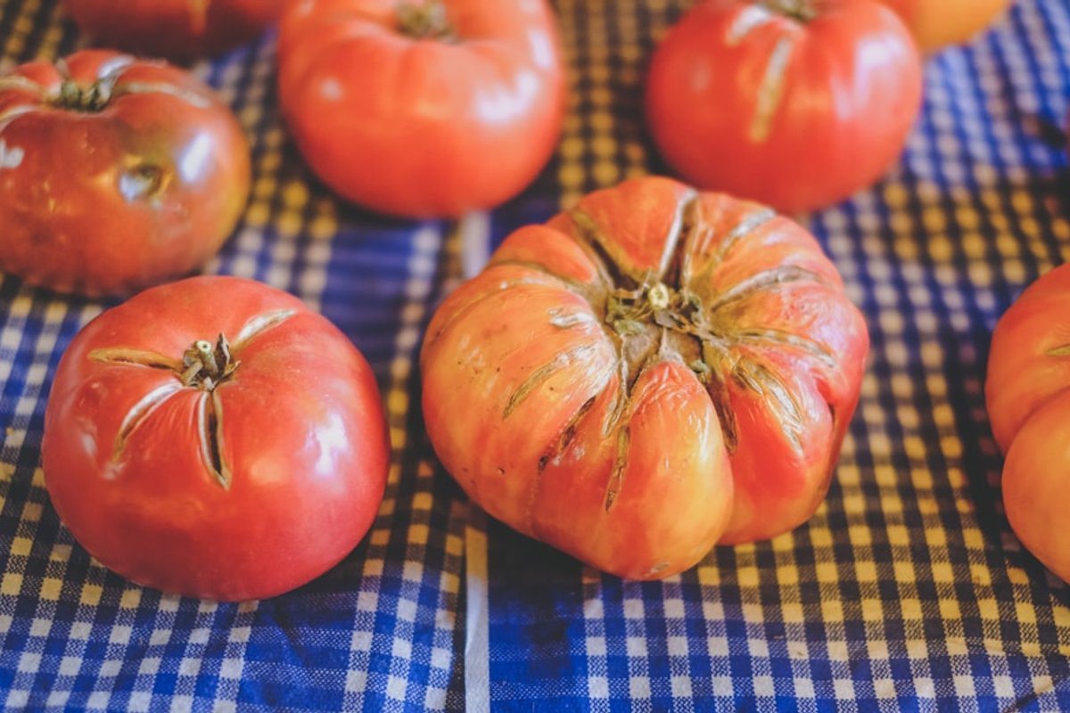 Cooking with Moon Phases: Enhance Your Dishes with Lunar Energy