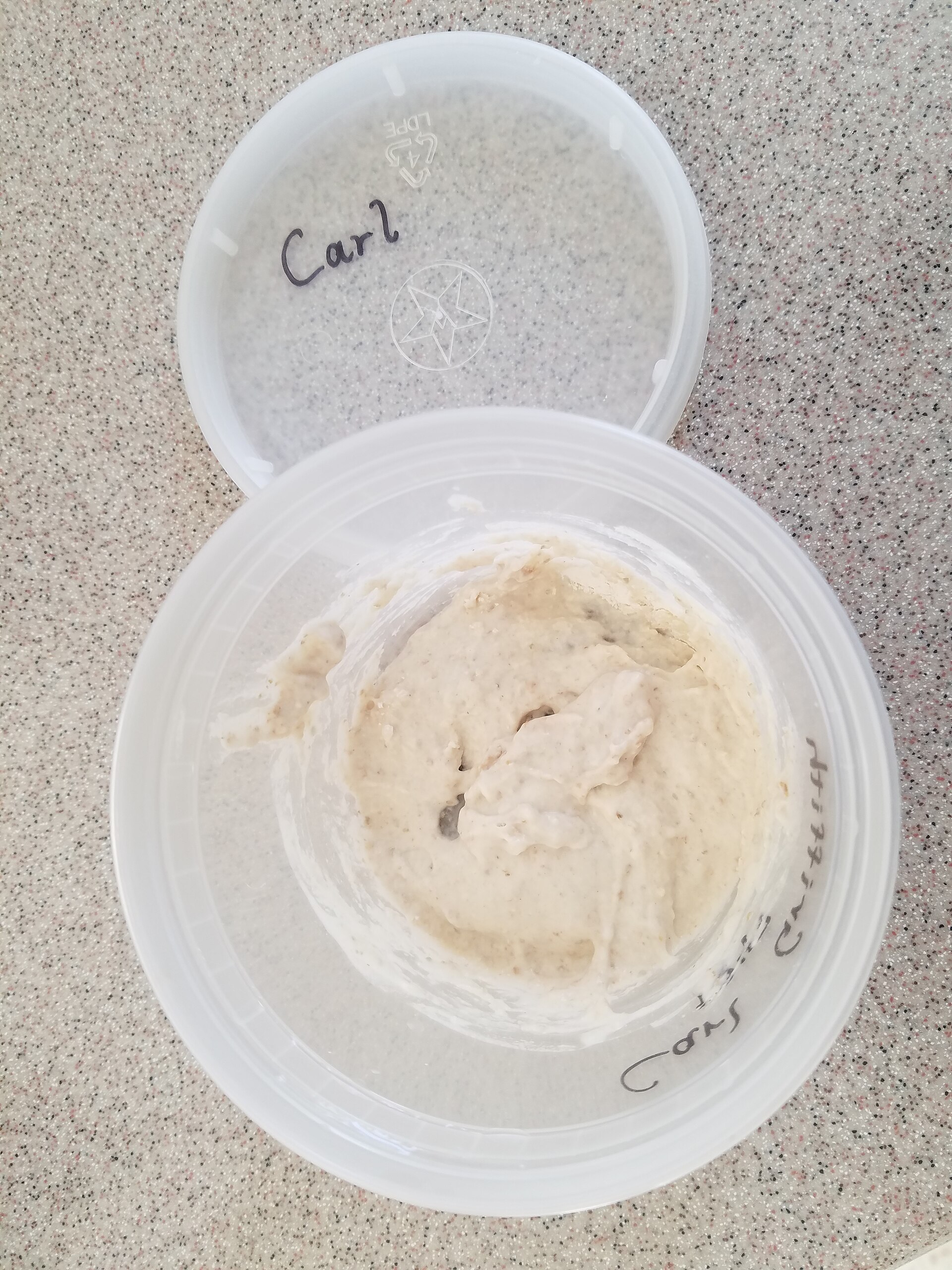Sourdough Starter