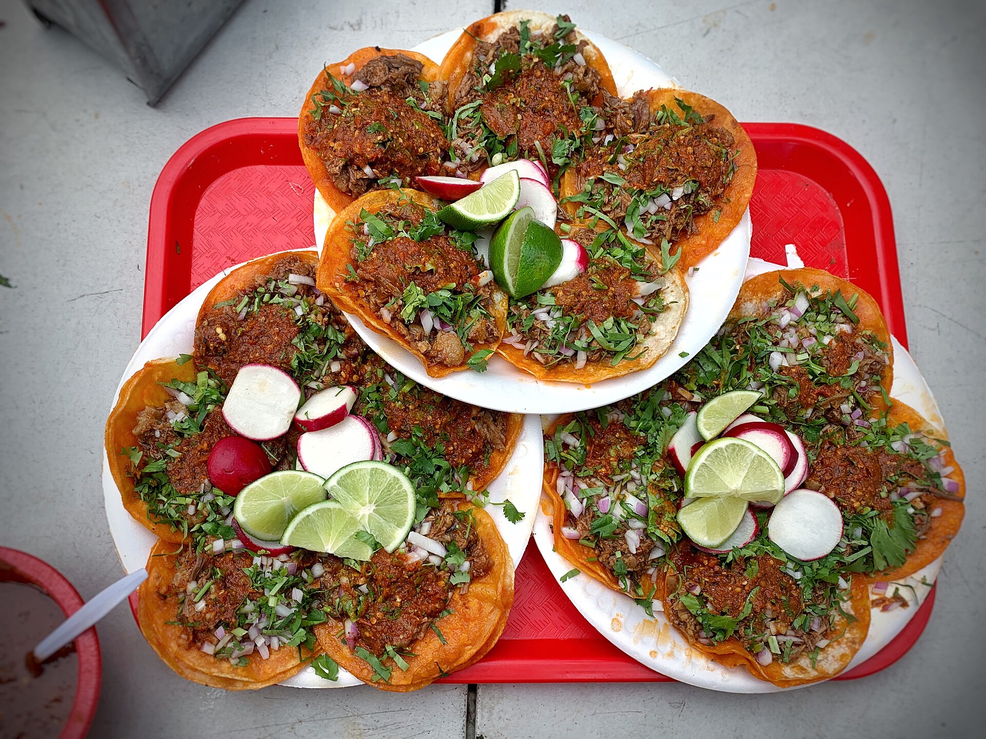 Birria Tacos
