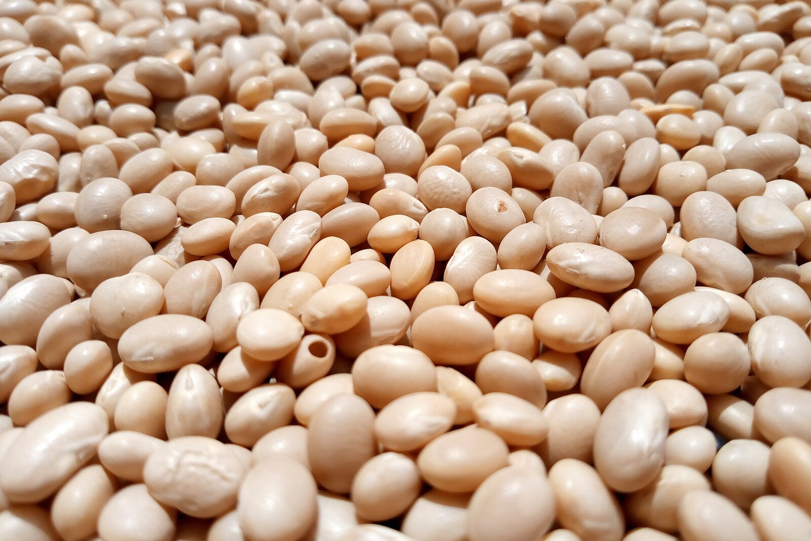Cassoulet: The Languedoc Bean and Duck Stew