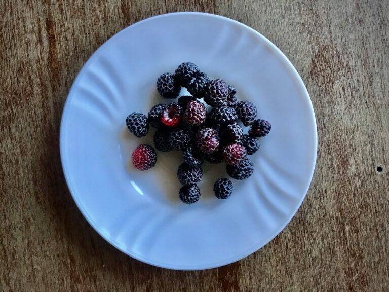 Fluffy Japanese souffle pancakes stacked with powdered sugar and fresh berries