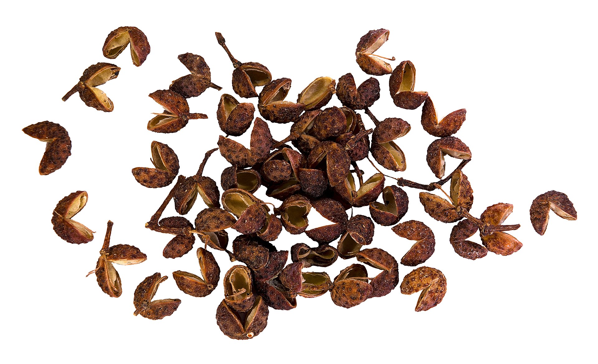 Numbing pepper first, chile heat second