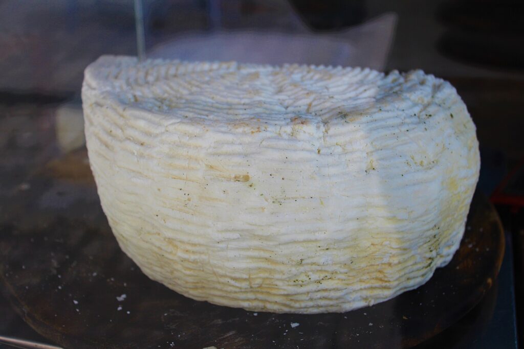 Rows of aged cheese wheels resting on wooden shelves in a cool ripening room