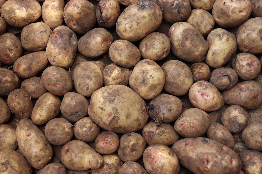 Unpeeled potatoes draining in a metal colander next to a kitchen sink