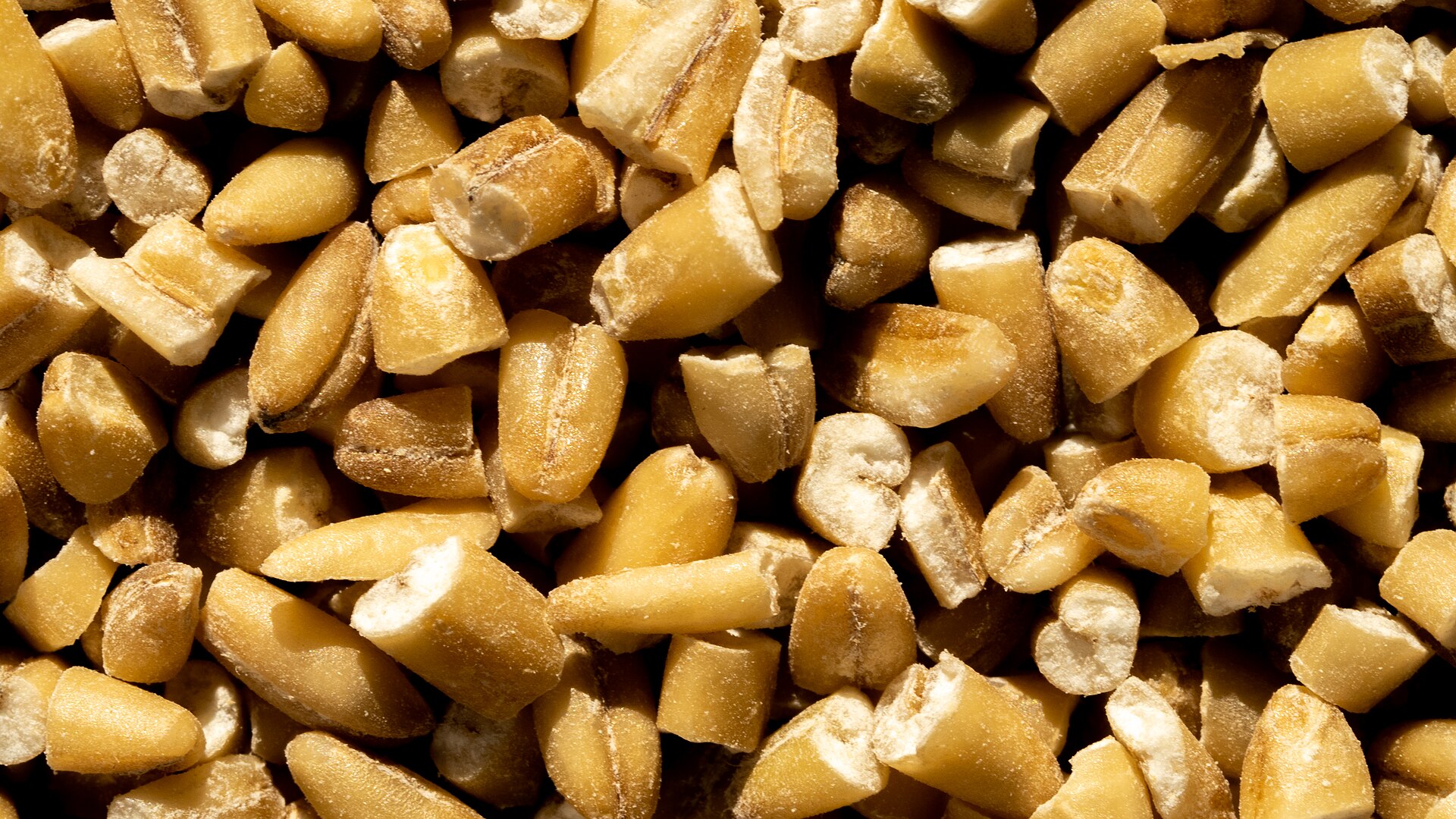 Steel-cut, rolled, instant: three cook times for one grain