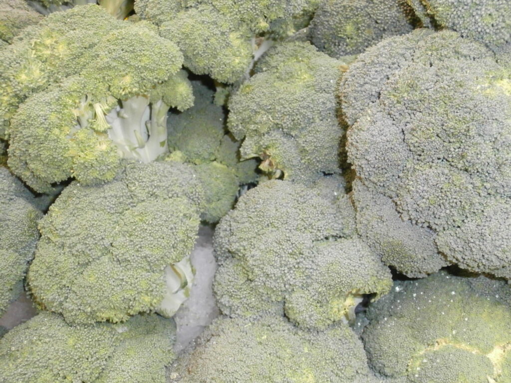 Broccoli florets cooling in a bowl of ice water beside a pot of boiling water