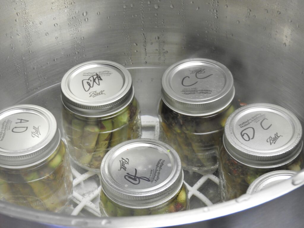 Half pint jars of dark jelly cooling on a towel beside a large canning pot