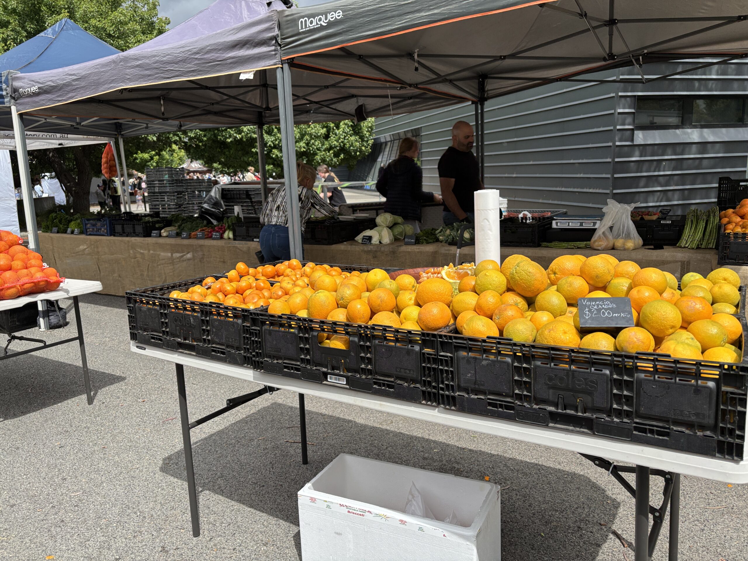 Crates of peppers, tomatoes and squash stacked on a market stall in early autumn
