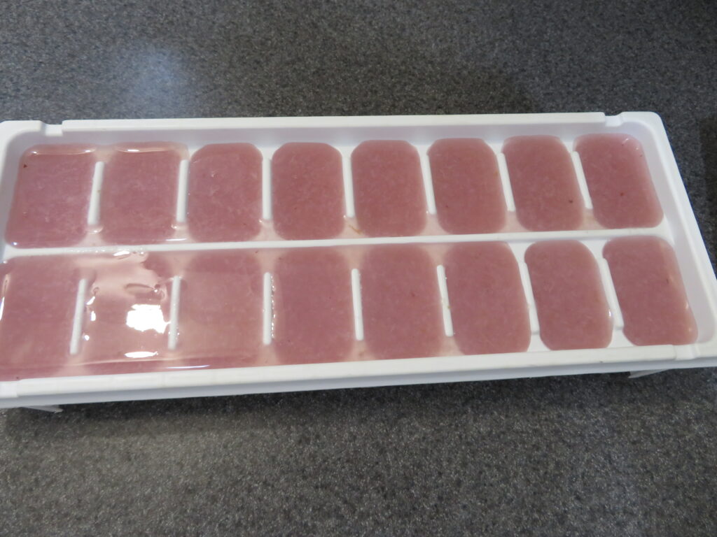Frozen cubes of concentrated brown stock turned out onto a small plate