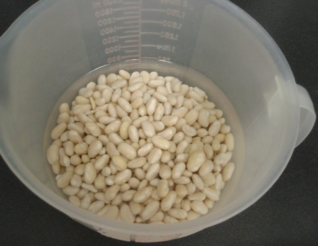 Dried beans swelling in a glass bowl of cloudy water on a counter