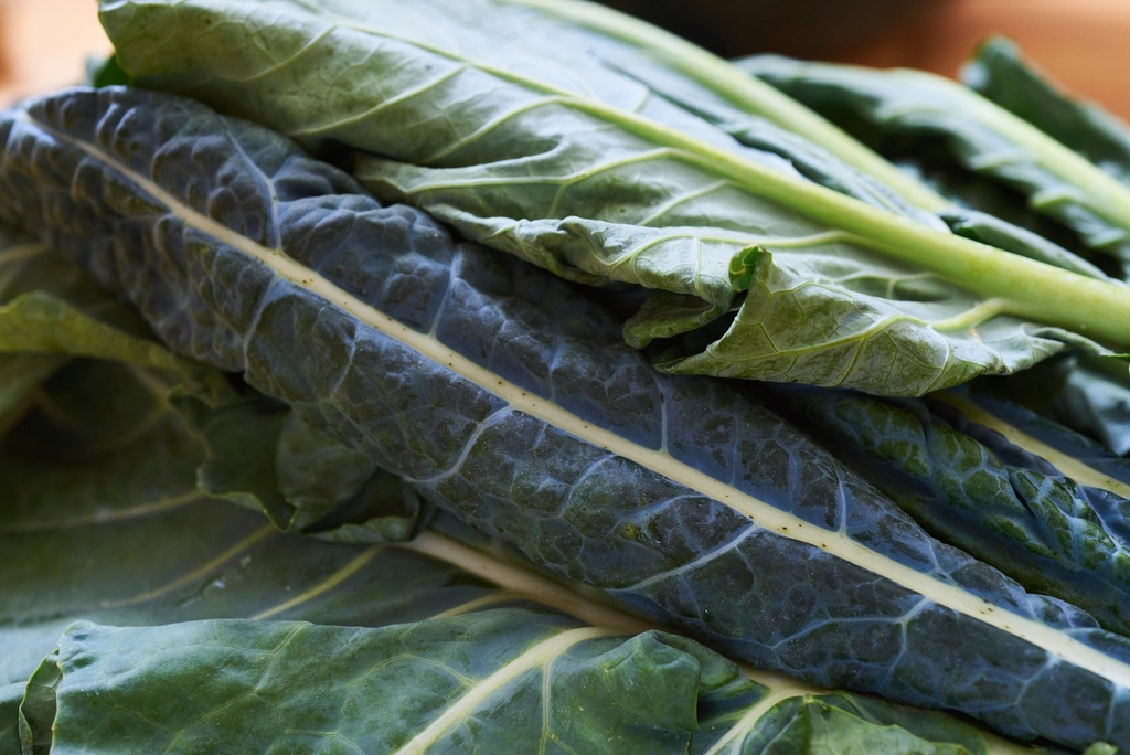 A bunch of dark curly kale leaves resting on a stone kitchen counter