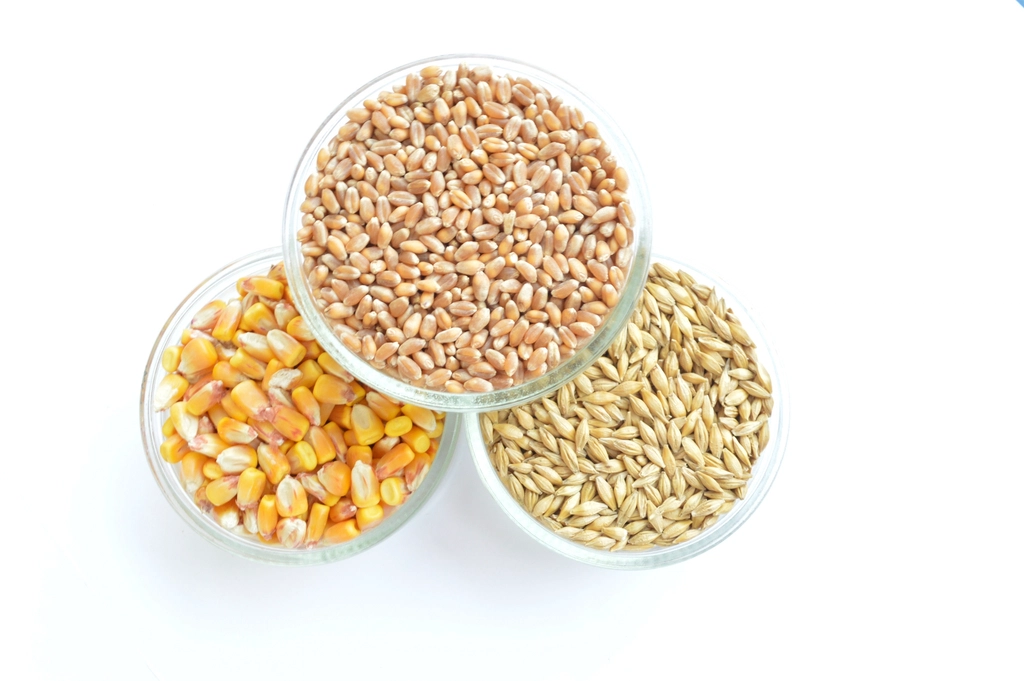A wide bowl of farro topped with roasted squash, greens, and carrots
